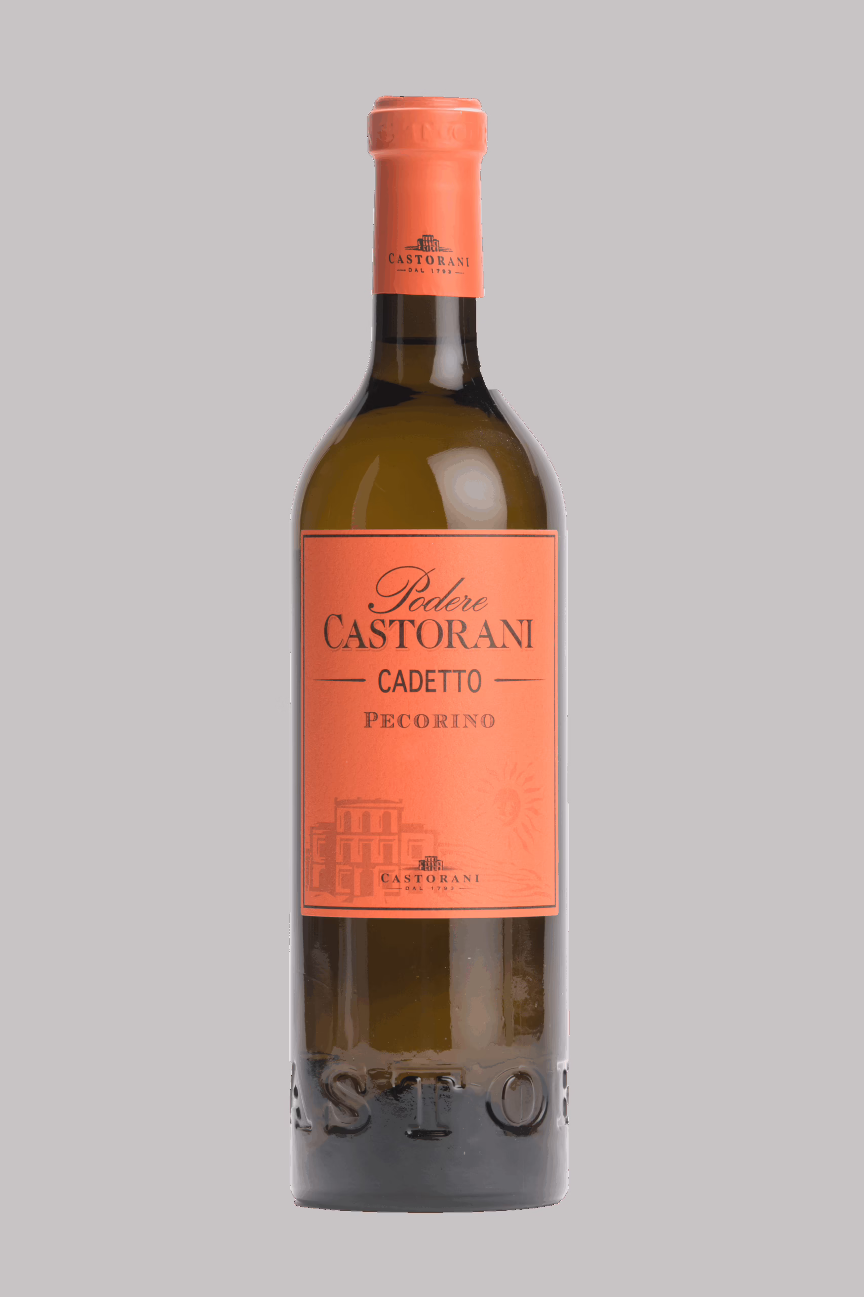 Cadetto Pecorino