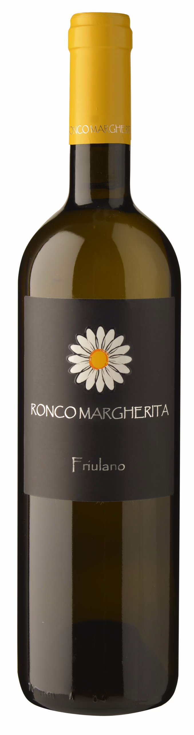 Friulano
